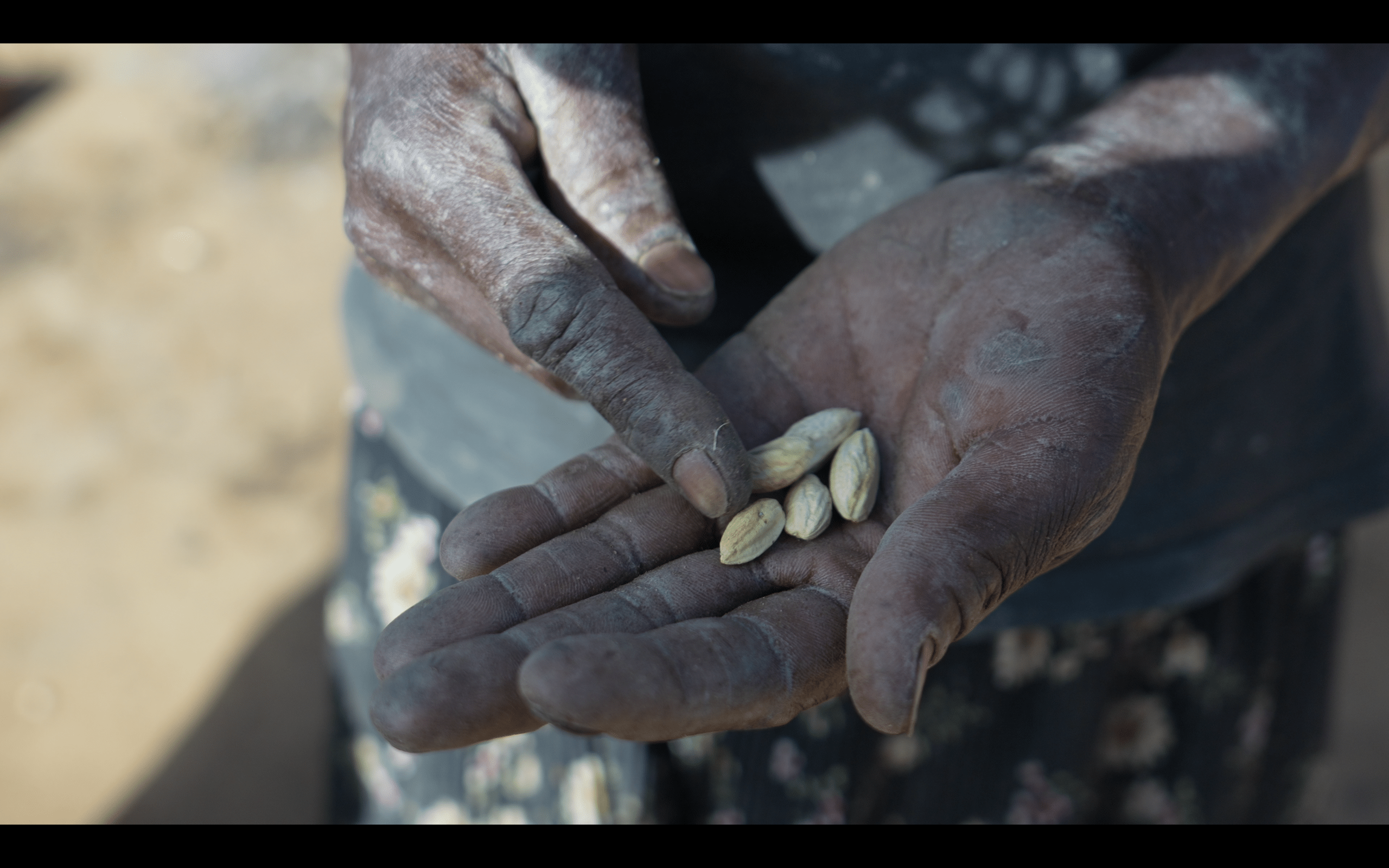 Karamoja: drought pushes thousands into hunger